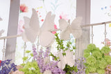 Large Butterfly white set of 3