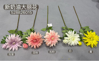 White Cream Dahlia spray single stem crème