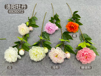 Luoyang PEONIES PEONY Spray