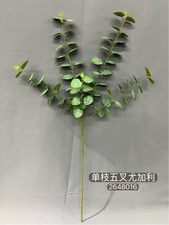 Long stem Green Eucalyptus Spray for Wedding decor single stem