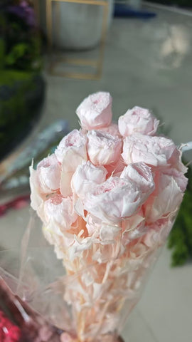 Preserved mini Rose spray