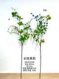 New long stem White Jasmine Spray