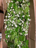New long stem White Jasmine Spray