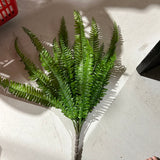 New Medium Green Fern Bunch