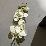 Large Phalaenopsis Orchid Artificial Flower (White) Silk wedding flower