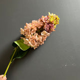 Burnt edge cone Hydrangea Single Stem spray(Dusty Pink)