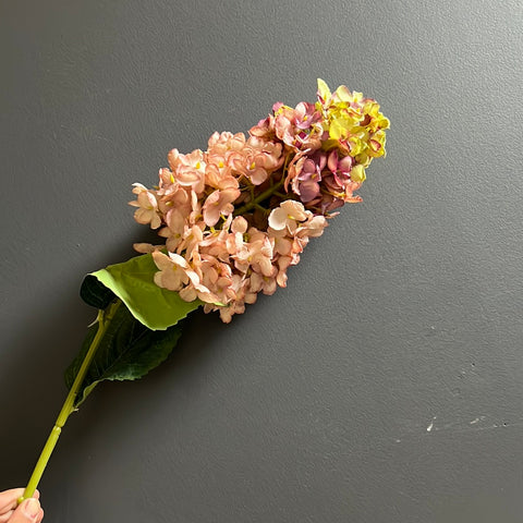 Burnt edge cone Hydrangea Single Stem spray(Dusty Pink)