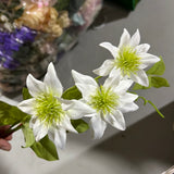 New Mini Daisy (Clematis) Spray(White)