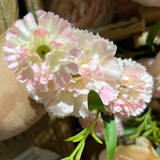 Carnation (Pink) 5215BDB11
