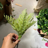 Green Fern Bunch filler