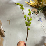 Dandelion Green bud Single Stem Green Pom ball