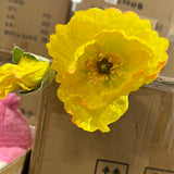 Long Single stem Poppy Susan Yellow