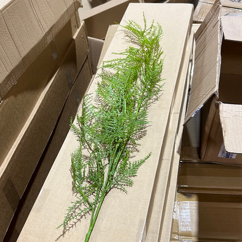 Long stem Light green Asparagus fern Spray greenery