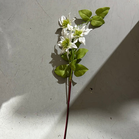 New Mini Daisy (Clematis) Spray(White)