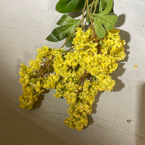 Single stem Hydrangea Light Yellow Spray Single Stem