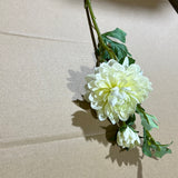 Single stem Dahlia spray Cream
