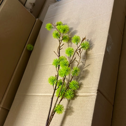 Dandelion Green bud Single Stem Green Pom ball