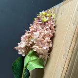 Burnt edge cone Hydrangea Single Stem spray(Dusty Pink)