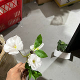 New SMALL White  Butterfly Peonies flower filler Artificial flowers