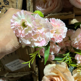 Carnation (Pink) 5215BDB11