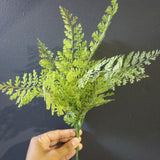 Silver Fern Bunch greenery