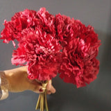 Carnation Red Bunch