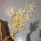 Champagne rice leaf Filler Long Stem Greenery