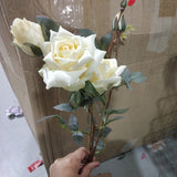 2 head Champagne Pointy Rose Spray