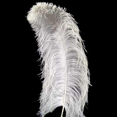 OSTRICH FEATHER PLUMES ALL LENGTHS ALL COLORS(18"-20")-OST6