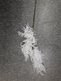 White big Fern single stem filler