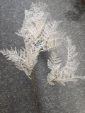 Blush/champagne Big fern single stem filler