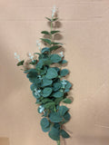 Long stem Silver Eucalyptus Spray for Wedding decor greenery