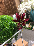 Burgundy Gloriosa fire Lily Artificial flowers - Richview Glass Wedding Supplies