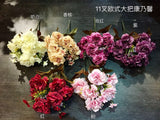 Champagne Big stem Carnation Bunch - Richview Glass Wedding Supplies