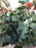 Long stem Silver Eucalyptus Spray for Wedding decor greenery