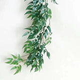 Long Garland Greenery Ruscus