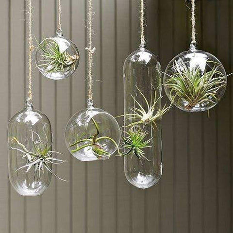 Hanging Glass Vase 7" Round Planter Bubble Ceiling decor - Richview Glass Wedding Supplies