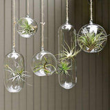 Hanging Glass Vase 7" Round Planter Bubble Ceiling decor - Richview Glass Wedding Supplies