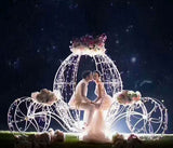Horse carriage - Richview Glass Wedding Supplies