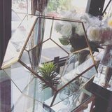 GEOMETRIC 10.5" X 13.5" PLANTER GLASS BALL TERRARIUM VASE money box hexagon - Richview Glass Wedding Supplies