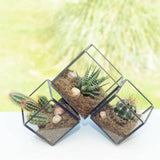 5.9" Geometric Black Cube Planter Glass Terrarium Vase  JT-T1020 - Richview Glass Wedding Supplies