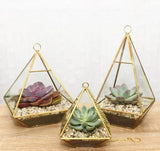 GEOMETRIC 8" PLANTER GLASS PYRAMID TERRARIUM VASE (Black) -GEO1-3 - Richview Glass Wedding Supplies