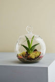 Hanging Glass Vase 7" Round Planter Bubble Ceiling decor - Richview Glass Wedding Supplies