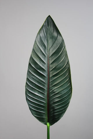 34" Bird of Paradise Leaf (s) real touch leaf floramatique - Richview Glass Wedding Supplies