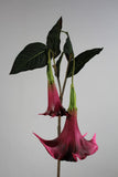 Artificial Flower Angel's Trumpet real touch floramatique SB136 49"(Red)-ART1-26 - Richview Glass Wedding Supplies