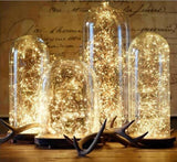 Fairy lights 2 metre (warm-white)-FAI1 - Richview Glass Wedding Supplies
