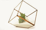 5.9" Geometric Black Cube Planter Glass Terrarium Vase  JT-T1020 - Richview Glass Wedding Supplies