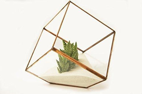 5.9" Geometric Planter Glass Terrarium Vase(gold)  JT-T1020- GEO1-3 - Richview Glass Wedding Supplies