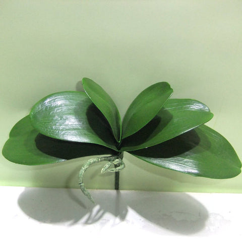 Real Touch Phalaenopsis Orchid leaf for Wedding home decor - Richview Glass Wedding Supplies