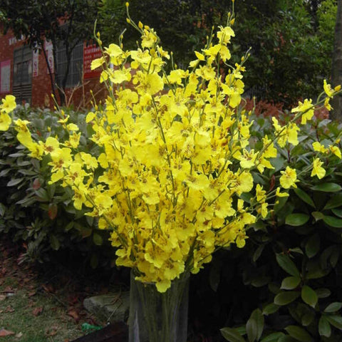 Artificial Flower yellow Oncidium Dancing Lady orchid silk flower (ONC1-1) - Richview Glass Wedding Supplies